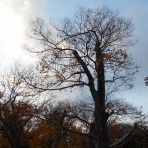 ヒサトわーるど2025