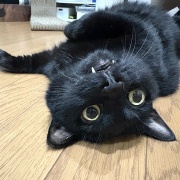 いつも私の一歩先を行く夫