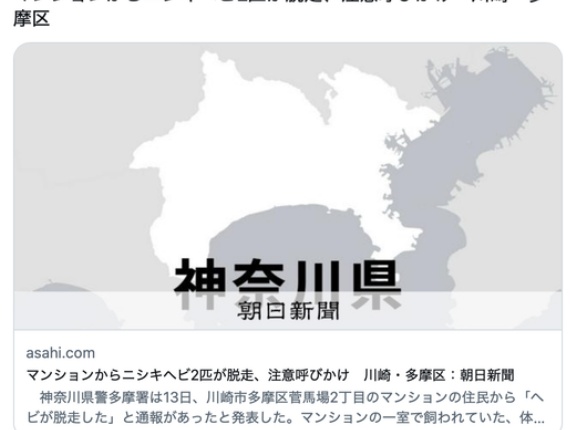 【川崎】マンションからニシキヘビ2匹が脱走、注意呼びかけ　多摩区