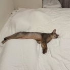 脱力ぼくちん