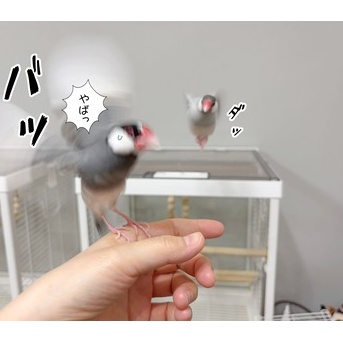 完全なるストーカーです