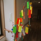 『明日は七夕☆彡』の画像