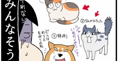 幼児に「されるがままに二つ折り猫」の献身