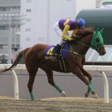 『【遠征結果】④アルティマウェポン（牝6＝林和弘厩舎）、エンプレス杯（川崎競馬場）に出走！』の画像