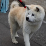 『本日、11月23日(火・祝)オープンしています!』の画像