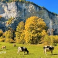 アルプスの村 ラウターブルネンをハイキング🇨🇭