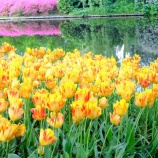 ¡Ø ¡ö¡¡£²ÆüÌÜ¡¼£³¡Ú¥¥å¡¼¥±¥ó¥Û¥Õ¸ø±à¤ÇÉ´²ÖåçÍð¤ò³Ú¤·¤à¡Û¤ª²Ö¡¦·Ý½Ñ¡¦¼«Á³¤ò´®Ç½¤·¤Ä¤¯¤·¤¿2019ǯ¥ª¥é¥ó¥Àι¹Ôµ¡Ù¤Î²èÁü