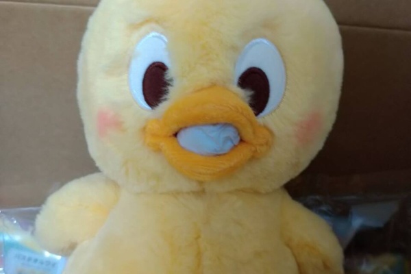 トラベルあにき ディズニー