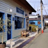 『『非出世系県庁マンのブルース』紀伊國屋書店でも入手できます。』の画像