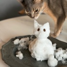 猫だるまちゃんとニャンコ