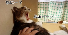 なんか早くない？季節の変わり目？