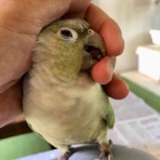 waka ⭐ のの＆のあ そしてぎずも