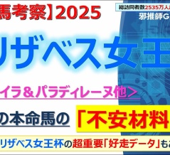 【回顧】みやこステークス ～重馬場と不良馬場ではまるで違う気がする～＜2025＞