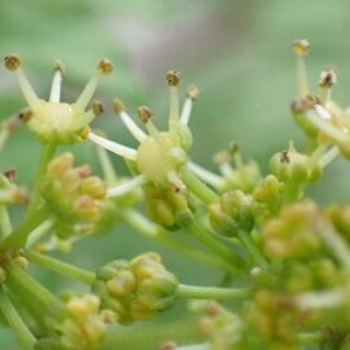 みかん農家のこだわりみかん栽培の日々