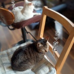 moroのハンドメイド