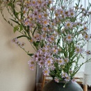迎え花