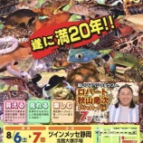 『新入荷色々！夏レプリクエスト募集開始！』の画像