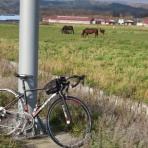 くりさんのロードバイク初心者奮闘記