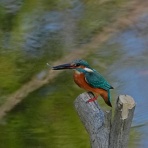 tamsan'sリストア2