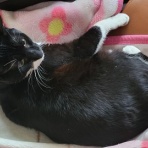 支配人のたららんな日々♪