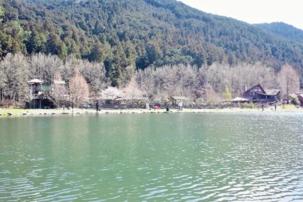 けーすけの管釣り日記 レイクウッドリゾート