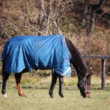 『愛されて』の画像