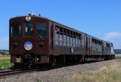 『2026/8/16運転 DE15-1535牽引富良野・美瑛ノロッコ号』の画像