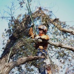 ツリートップ三望　施工事例集