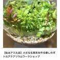 SONO水草パック販売速報＆ボトルアクア教室のお知らせ(2025年10/17～：Terrariums 仙台店 様