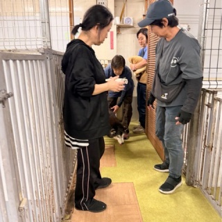 NPO法人ペット里親会