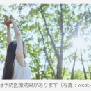 森にいるだけで免疫が強化される…？　｢森林浴｣がもたらす驚異的な効果　｢抗がんタンパク質｣が48％増加した例も