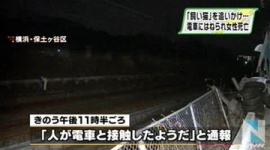 逃げた飼い猫を追いかけ線路内へ、25歳女性死亡…神奈川