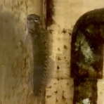 Beach Field　いいかげん日記帳Ⅲ