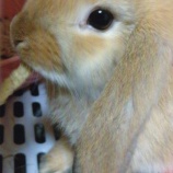 『うみとそら』の画像