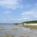 これが見たかったんだ（黒島⑲）