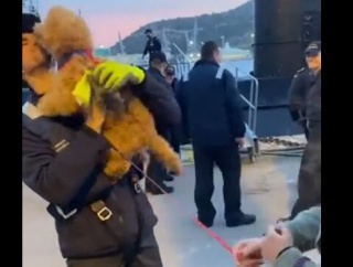 「…このニオイは……！！」　久しぶりに会う飼い主に、興奮しきりの犬