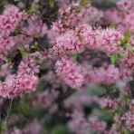 田所大介の富山なんでも食遊記