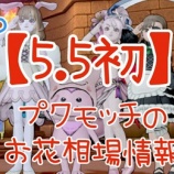 『【5.5初】プクモッチのお花相場情報4/6』の画像