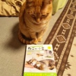 うちのにゃんこ