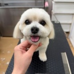 ペットショップワンラブ ホームセンターバロー正木店のスタッフブログ