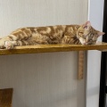 ゼンタちゃん、またね～