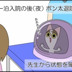 「moroの家族と、ハンドメイドと。」moroオフィシャルブログ