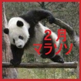 『楽天お買い物マラソン【2月4日~10日】エントリー&クーポンまとめ』の画像