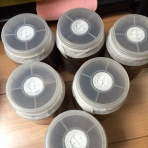 小さなクワガタ館