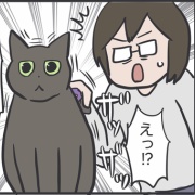 7年ぶりに出番が来た猫用ブラシ