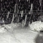 GNランナーのなんでも日記