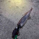 2025/12/5 忍耐力の釣り