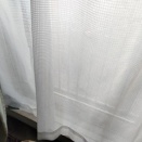 ◆プール◆大そうじシリーズ2025第2戦