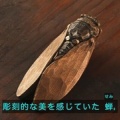 テレビ番組再放送情報 日曜美術館アートシーン／歴史探偵。