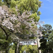 「あれ？こっちじゃなかったかな」じゃなくて。